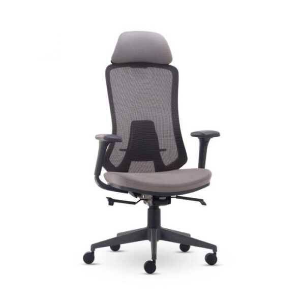 TERRA Ergonomic High Back Office Chair