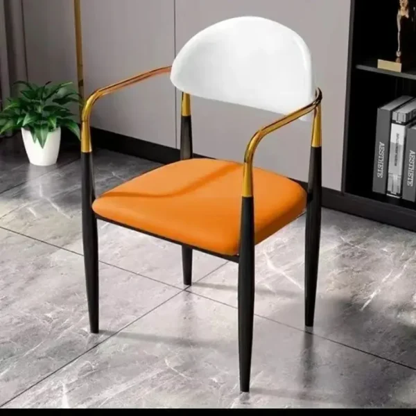 Gharnish Lucy restaurant dining chair - Image 4