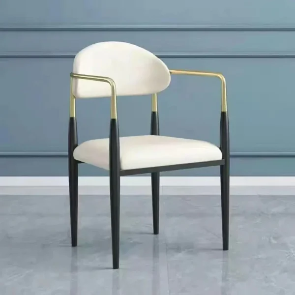 Gharnish Lucy restaurant dining chair - Image 3